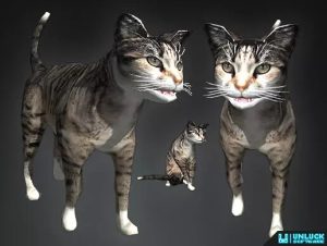 HerdSim Cat v1.4.3-软件开发学习笔记