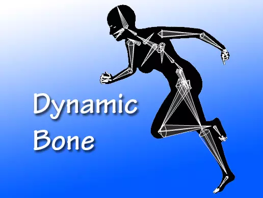 Dynamic Bone v1.3.4-软件开发学习笔记
